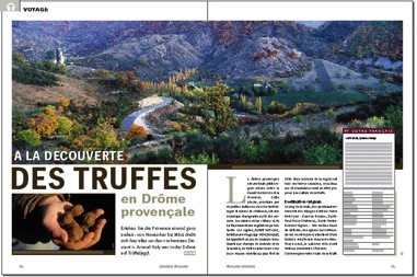 truffes-1